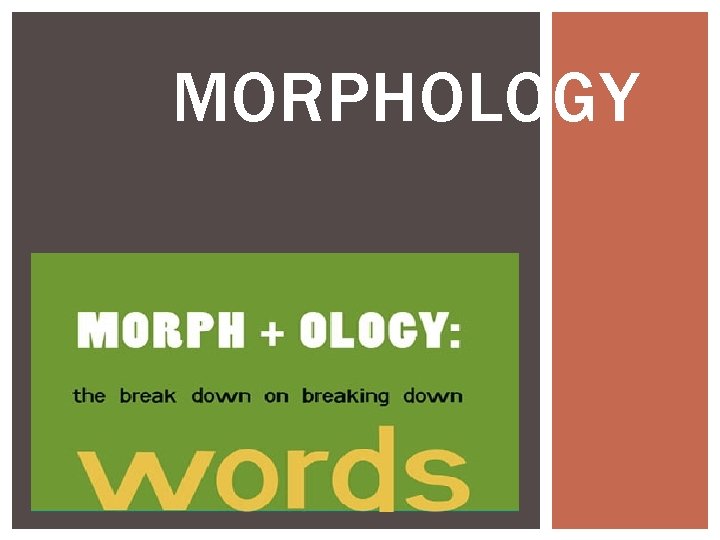 MORPHOLOGY 