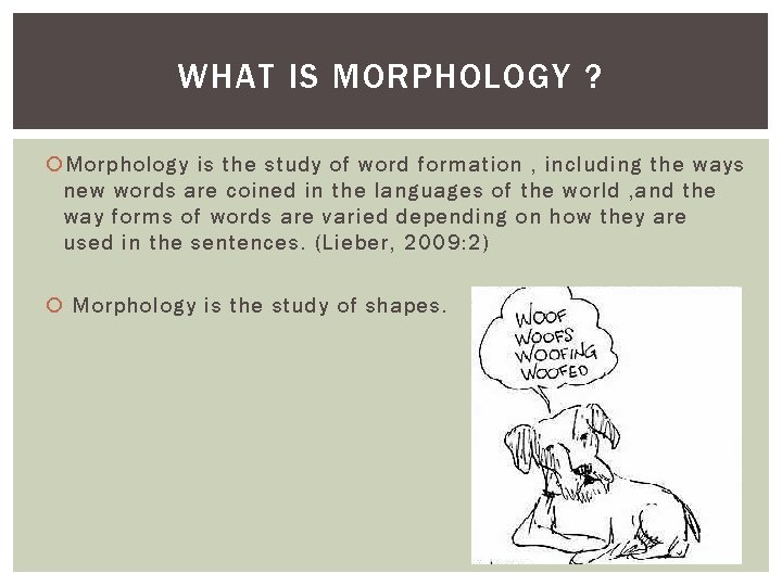 WHAT IS MORPHOLOGY ? Morphology is the study of word formation , including the