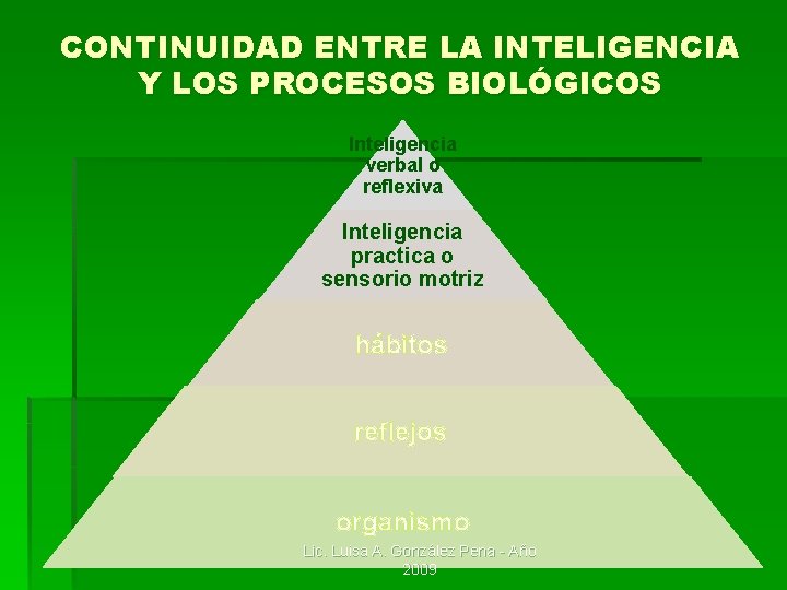 CONTINUIDAD ENTRE LA INTELIGENCIA Y LOS PROCESOS BIOLÓGICOS Inteligencia verbal o reflexiva Inteligencia practica CONTINUIDAD ENTRE LA INTELIGENCIA Y LOS PROCESOS BIOLÓGICOS Inteligencia verbal o reflexiva Inteligencia practica