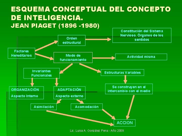 ESQUEMA CONCEPTUAL DEL CONCEPTO DE INTELIGENCIA. JEAN PIAGET (1896 -1980) Orden estructural Factores Hereditarios ESQUEMA CONCEPTUAL DEL CONCEPTO DE INTELIGENCIA. JEAN PIAGET (1896 -1980) Orden estructural Factores Hereditarios