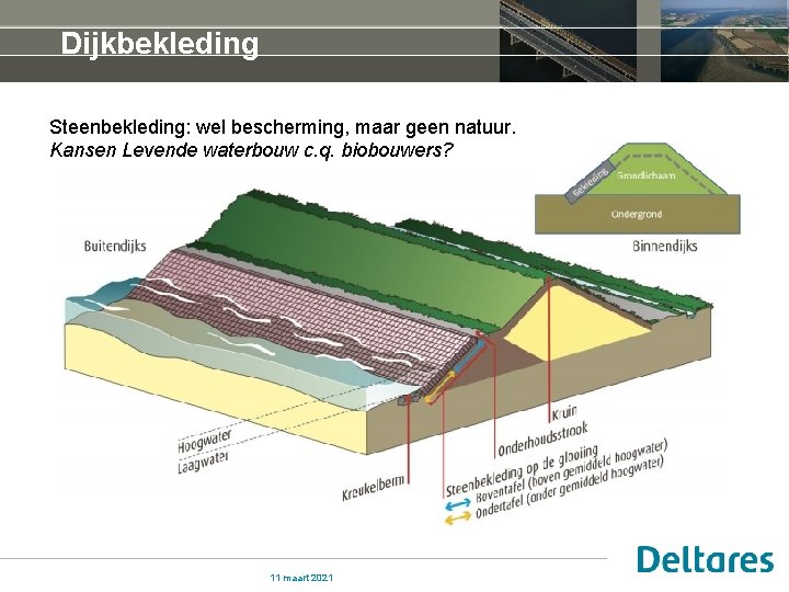 Dijkbekleding Steenbekleding: wel bescherming, maar geen natuur. Kansen Levende waterbouw c. q. biobouwers? 11