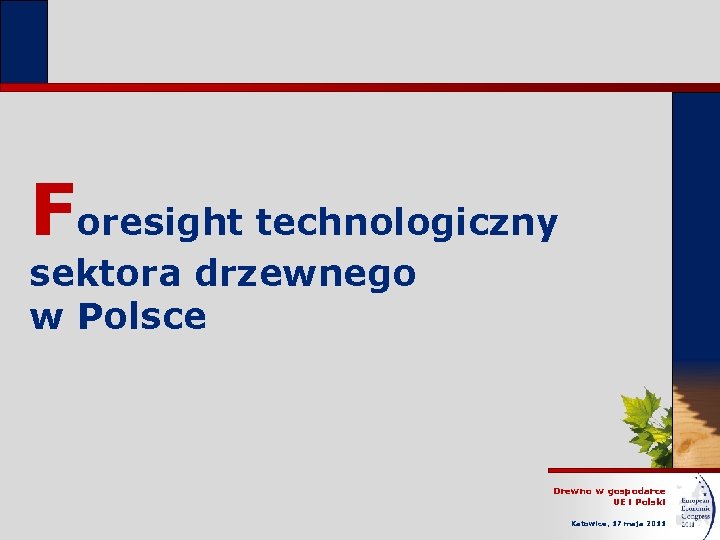 Foresight technologiczny sektora drzewnego w Polsce Drewno w gospodarce UE i Polski Katowice, 17