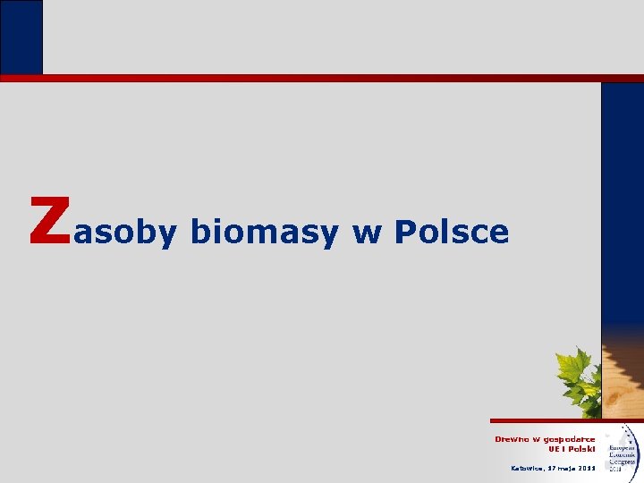 Zasoby biomasy w Polsce Drewno w gospodarce UE i Polski Katowice, 17 maja 2011