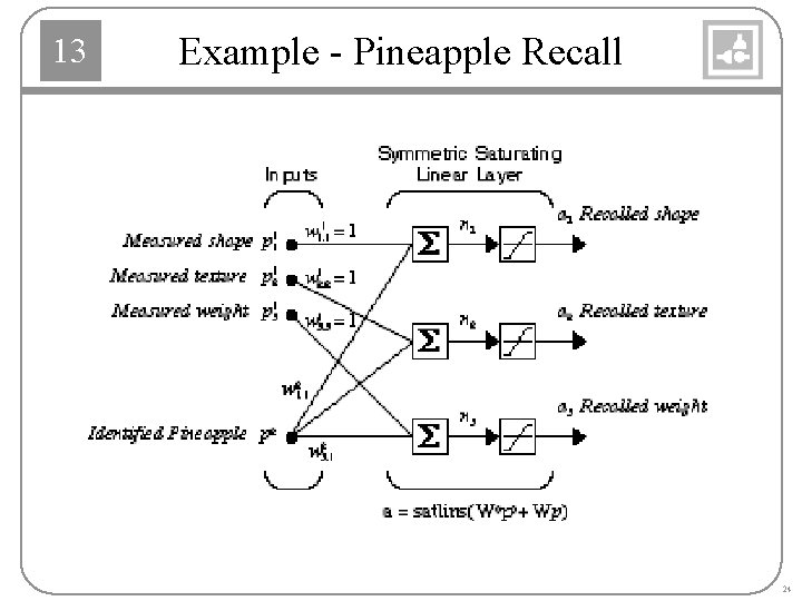 13 Example - Pineapple Recall 24 