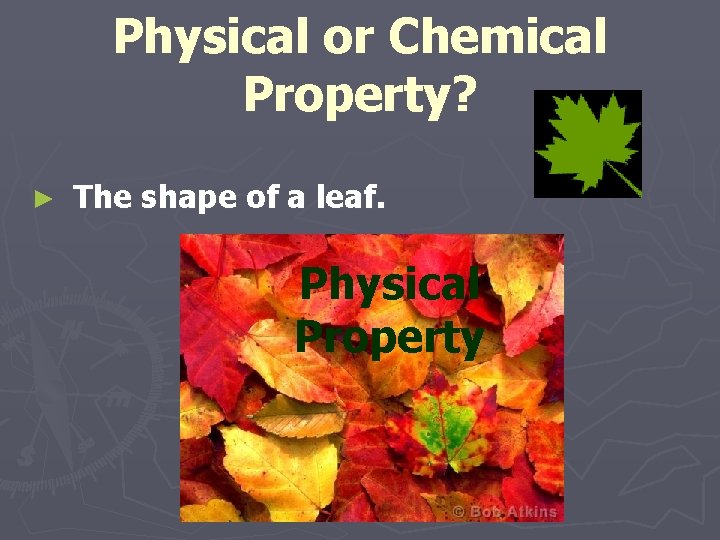 Physical or Chemical Property? ► The shape of a leaf. Physical Property 
