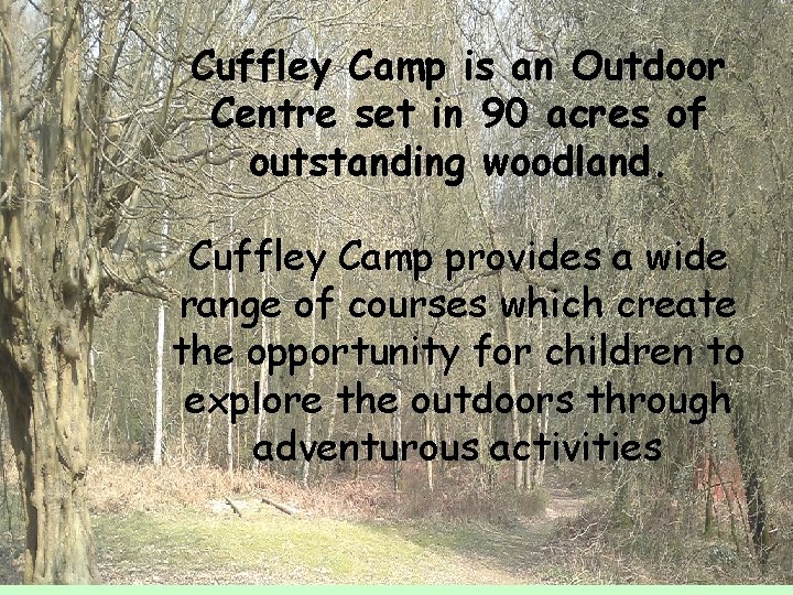Cuffley Camp is an Outdoor Centre set in 90 acres of outstanding woodland. Cuffley