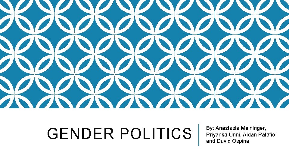 GENDER POLITICS By: Anastasia Meininger, Priyanka Unni, Aidan Patafio and David Ospina 