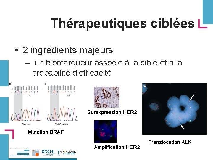 Thérapeutiques ciblées • 2 ingrédients majeurs – un biomarqueur associé à la cible et