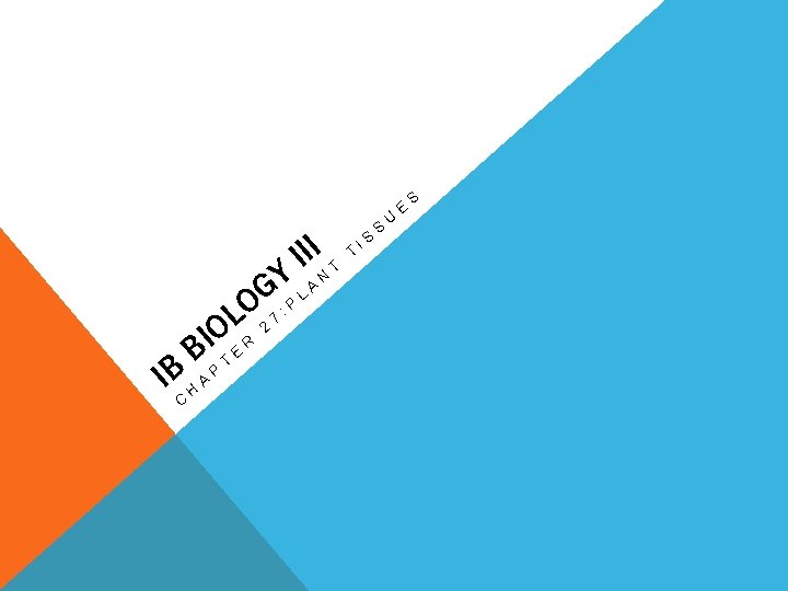 III N Y A G L O : P 7 L 2 O BIP III N Y A G L O : P 7 L 2 O BIP