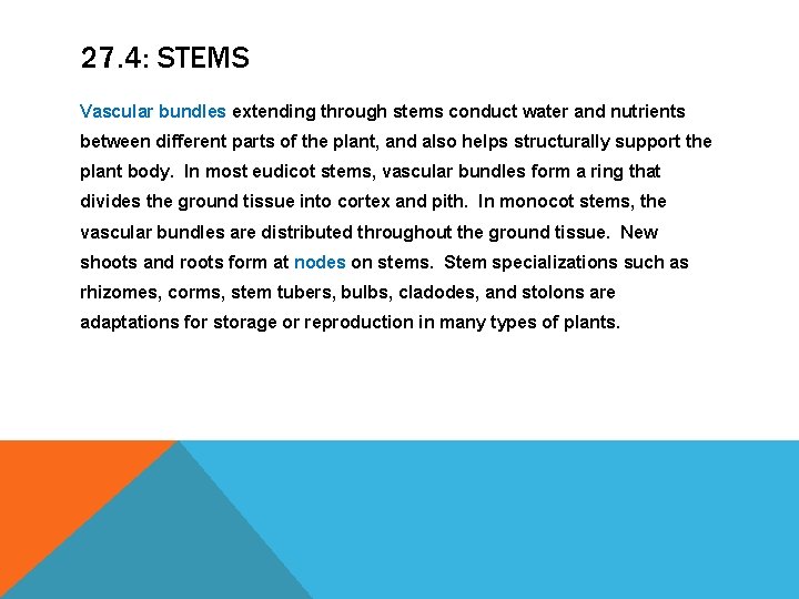 27. 4: STEMS Vascular bundles extending through stems conduct water and nutrients between different 27. 4: STEMS Vascular bundles extending through stems conduct water and nutrients between different