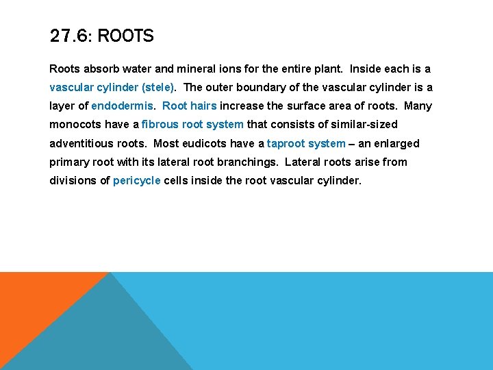 27. 6: ROOTS Roots absorb water and mineral ions for the entire plant. Inside 27. 6: ROOTS Roots absorb water and mineral ions for the entire plant. Inside
