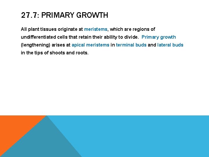 27. 7: PRIMARY GROWTH All plant tissues originate at meristems, which are regions of 27. 7: PRIMARY GROWTH All plant tissues originate at meristems, which are regions of
