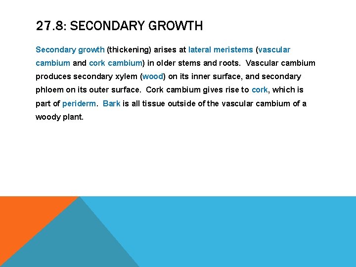 27. 8: SECONDARY GROWTH Secondary growth (thickening) arises at lateral meristems (vascular cambium and 27. 8: SECONDARY GROWTH Secondary growth (thickening) arises at lateral meristems (vascular cambium and