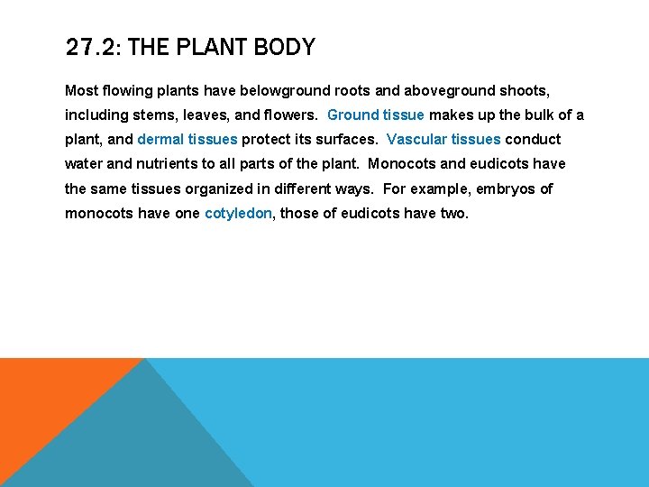 27. 2: THE PLANT BODY Most flowing plants have belowground roots and aboveground shoots, 27. 2: THE PLANT BODY Most flowing plants have belowground roots and aboveground shoots,