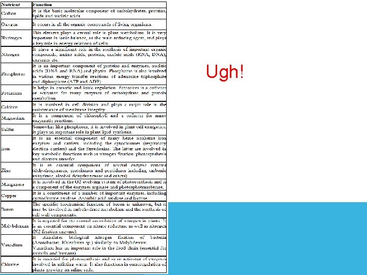 Ugh! Ugh!
