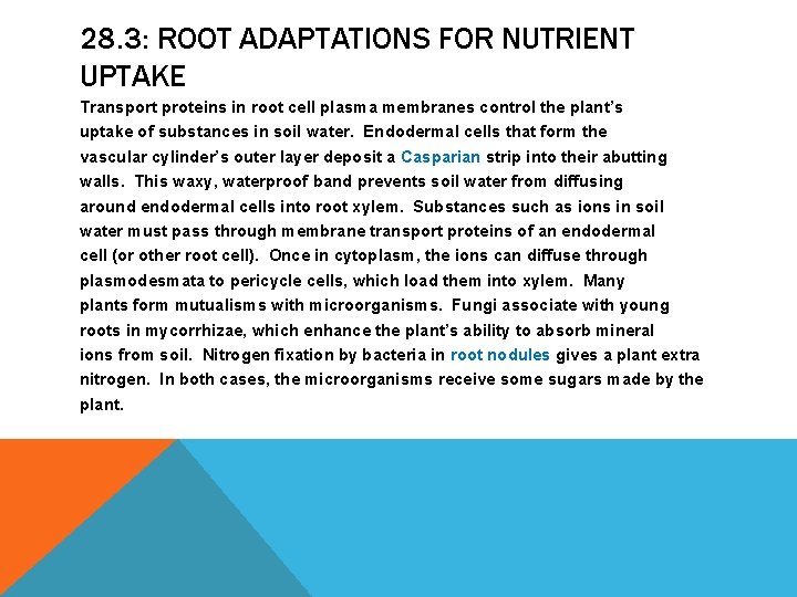 28. 3: ROOT ADAPTATIONS FOR NUTRIENT UPTAKE Transport proteins in root cell plasma membranes 28. 3: ROOT ADAPTATIONS FOR NUTRIENT UPTAKE Transport proteins in root cell plasma membranes