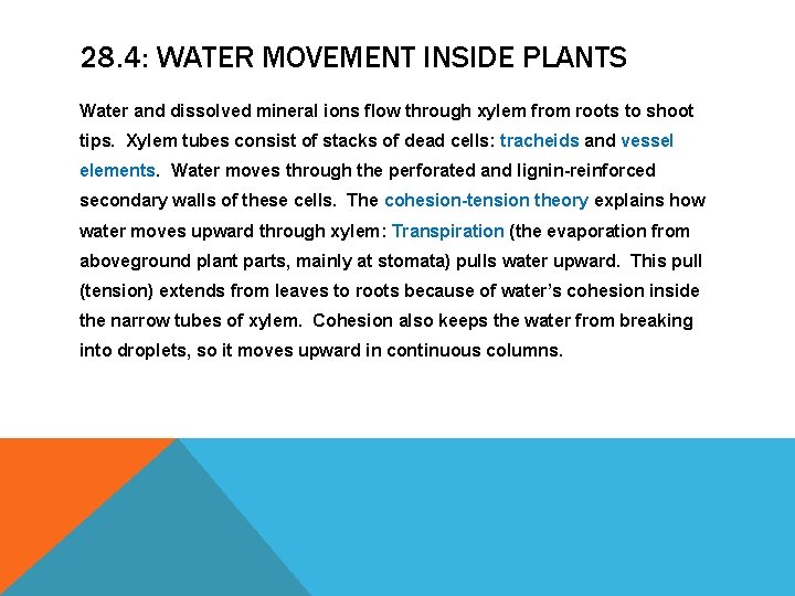 28. 4: WATER MOVEMENT INSIDE PLANTS Water and dissolved mineral ions flow through xylem 28. 4: WATER MOVEMENT INSIDE PLANTS Water and dissolved mineral ions flow through xylem