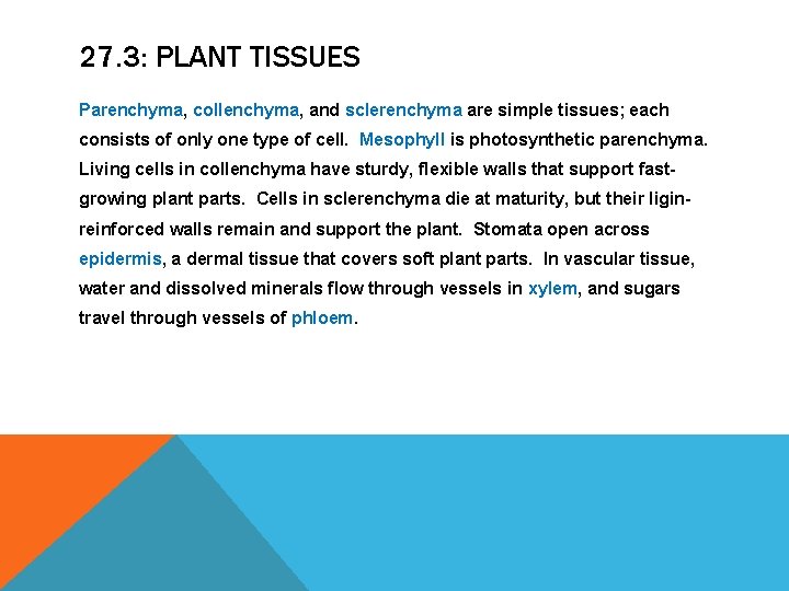 27. 3: PLANT TISSUES Parenchyma, collenchyma, and sclerenchyma are simple tissues; each consists of 27. 3: PLANT TISSUES Parenchyma, collenchyma, and sclerenchyma are simple tissues; each consists of
