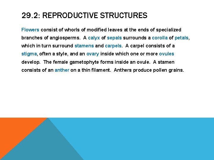 29. 2: REPRODUCTIVE STRUCTURES Flowers consist of whorls of modified leaves at the ends 29. 2: REPRODUCTIVE STRUCTURES Flowers consist of whorls of modified leaves at the ends