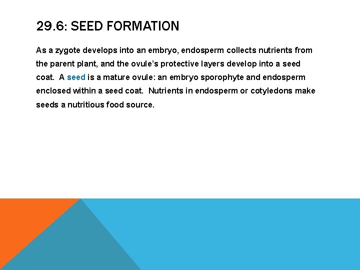 29. 6: SEED FORMATION As a zygote develops into an embryo, endosperm collects nutrients 29. 6: SEED FORMATION As a zygote develops into an embryo, endosperm collects nutrients