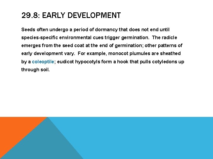 29. 8: EARLY DEVELOPMENT Seeds often undergo a period of dormancy that does not 29. 8: EARLY DEVELOPMENT Seeds often undergo a period of dormancy that does not