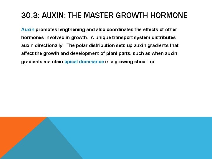 30. 3: AUXIN: THE MASTER GROWTH HORMONE Auxin promotes lengthening and also coordinates the 30. 3: AUXIN: THE MASTER GROWTH HORMONE Auxin promotes lengthening and also coordinates the