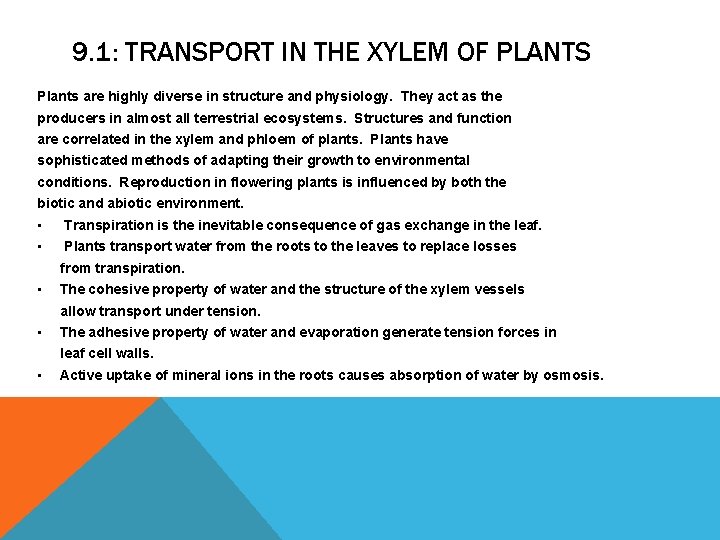 9. 1: TRANSPORT IN THE XYLEM OF PLANTS Plants are highly diverse in structure 9. 1: TRANSPORT IN THE XYLEM OF PLANTS Plants are highly diverse in structure