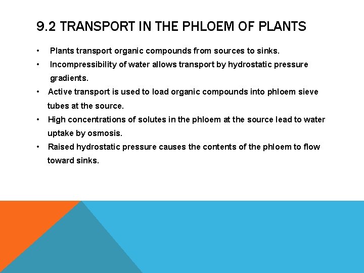 9. 2 TRANSPORT IN THE PHLOEM OF PLANTS • Plants transport organic compounds from 9. 2 TRANSPORT IN THE PHLOEM OF PLANTS • Plants transport organic compounds from