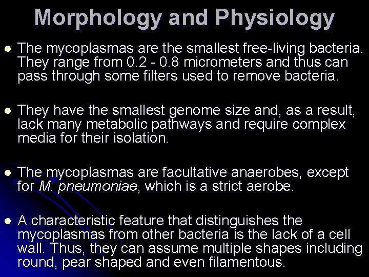 Morphology and Physiology l The mycoplasmas are the smallest free-living bacteria. They range from