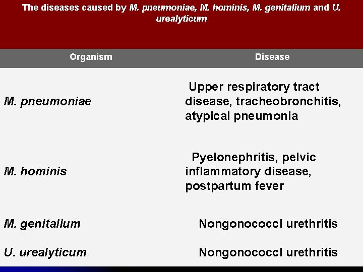 The diseases caused by M. pneumoniae, M. hominis, M. genitalium and U. urealyticum Organism