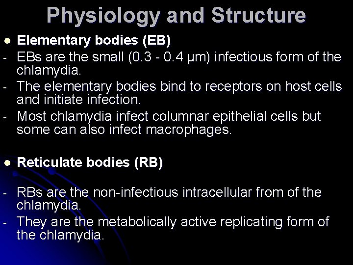 Physiology and Structure l - Elementary bodies (EB) EBs are the small (0. 3