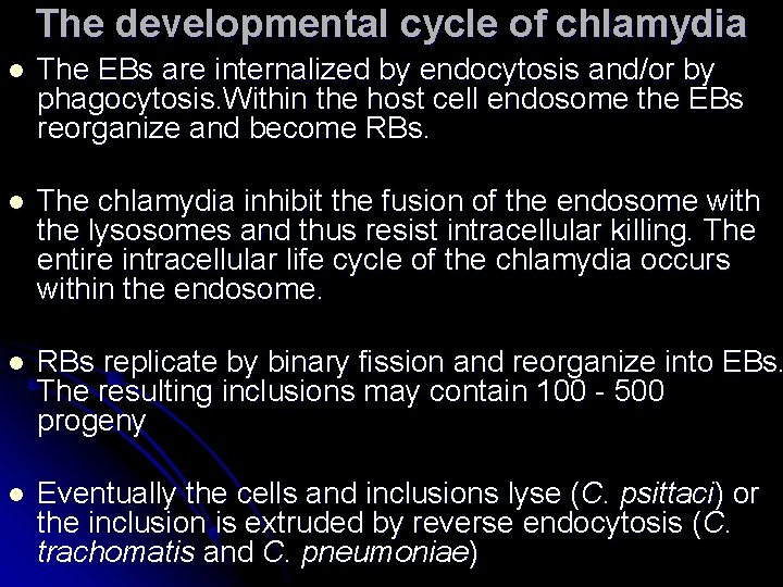 The developmental cycle of chlamydia l The EBs are internalized by endocytosis and/or by