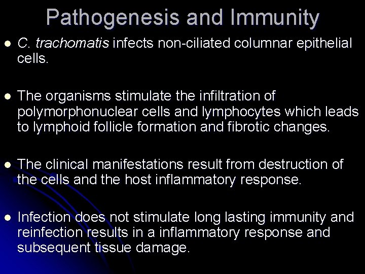 Pathogenesis and Immunity l C. trachomatis infects non-ciliated columnar epithelial cells. l The organisms