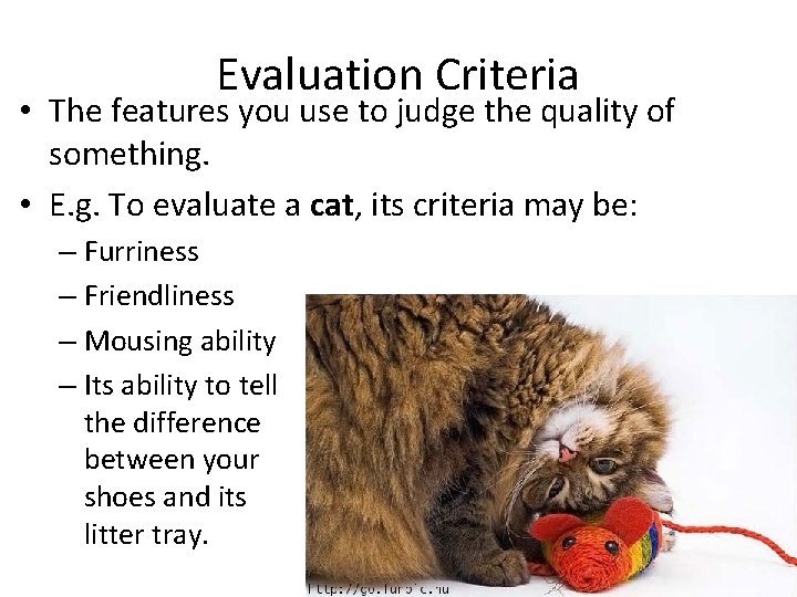 Evaluation Criteria • The features you use to judge the quality of something. •