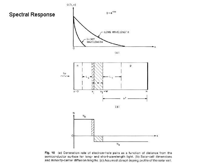 Spectral Response 