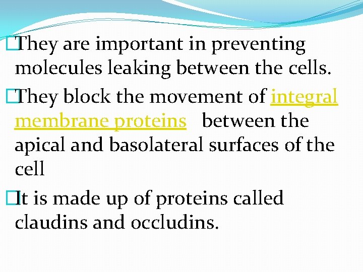 �They are important in preventing molecules leaking between the cells. �They block the movement