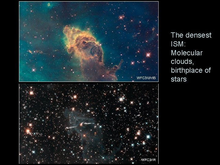 The densest ISM: Molecular clouds, birthplace of stars 