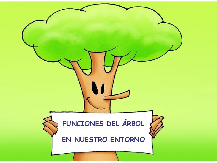 FUNCIONES DEL ÁRBOL EN NUESTRO ENTORNO 