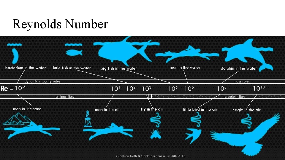 Reynolds Number 