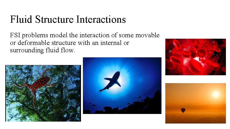 Fluid Structure Interactions FSI problems model the interaction of some movable or deformable structure