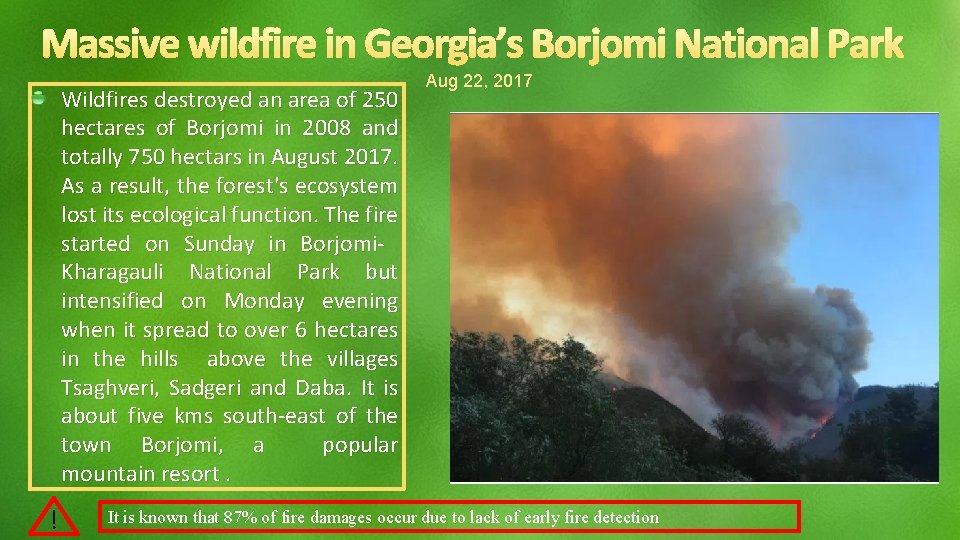 Wildfires destroyed an area of 250 hectares of Borjomi in 2008 and totally 750