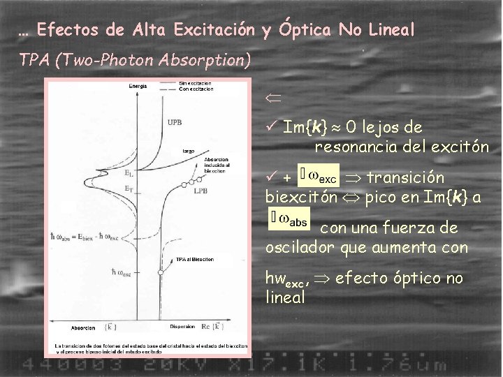 … Efectos de Alta Excitación y Óptica No Lineal TPA (Two-Photon Absorption) ü Im{k}