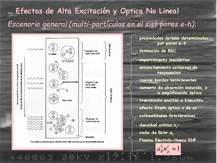 … Efectos de Alta Excitación y Optica No Lineal Escenario general (multi-partículas en el