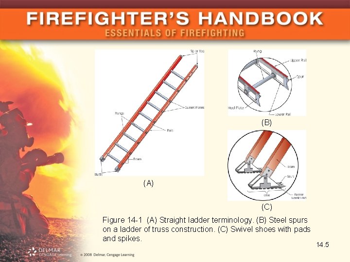 (B) (A) (C) Figure 14 -1 (A) Straight ladder terminology. (B) Steel spurs on