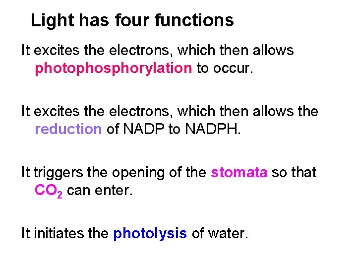 Light has four functions It excites the electrons, which then allows photophosphorylation to occur.
