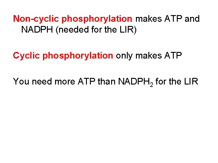 Non-cyclic phosphorylation makes ATP and NADPH (needed for the LIR) Cyclic phosphorylation only makes