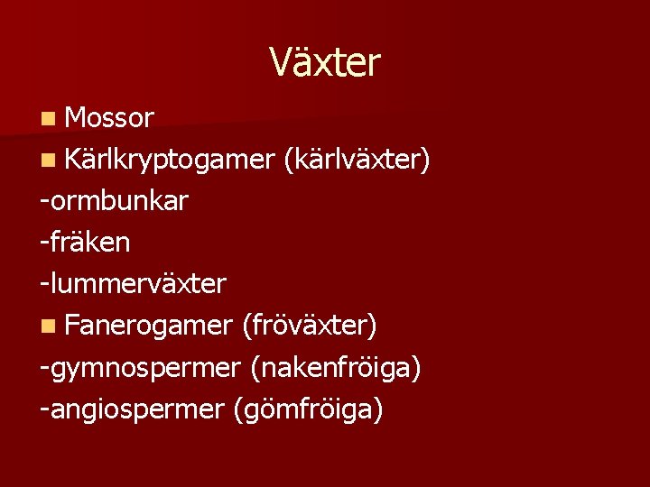 Växter n Mossor n Kärlkryptogamer (kärlväxter) -ormbunkar -fräken -lummerväxter n Fanerogamer (fröväxter) -gymnospermer (nakenfröiga)