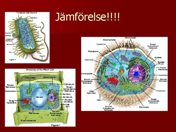 Jämförelse!!!! 