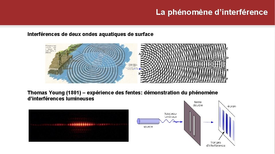 La phénomène d’interférence Interférences de deux ondes aquatiques de surface Thomas Young (1801) –