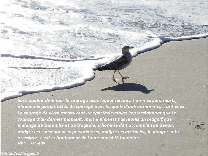 Sans vouloir diminuer le courage avec lequel certains hommes sont morts, n’oublions pas les